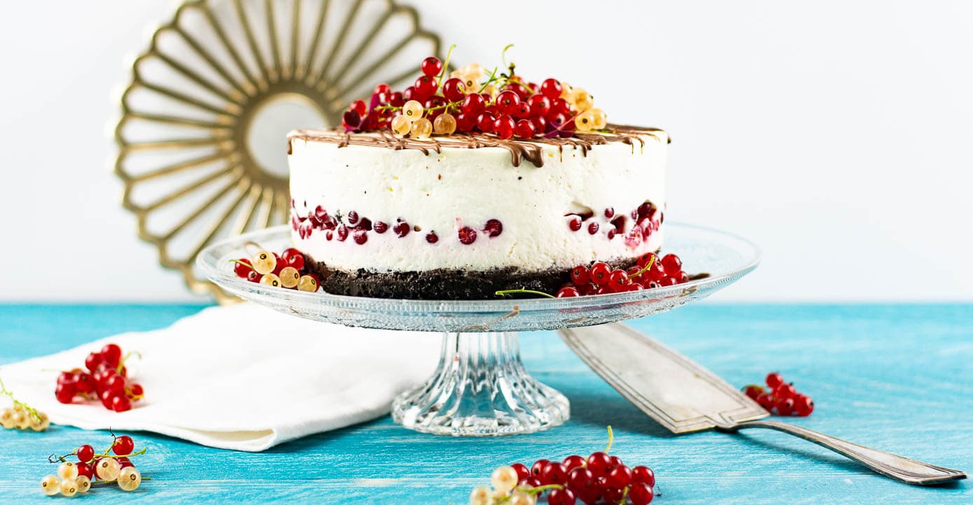 Der ganze Käsekuchen von der Seite. Man erkennt, dass er nicht gebacken wurde.