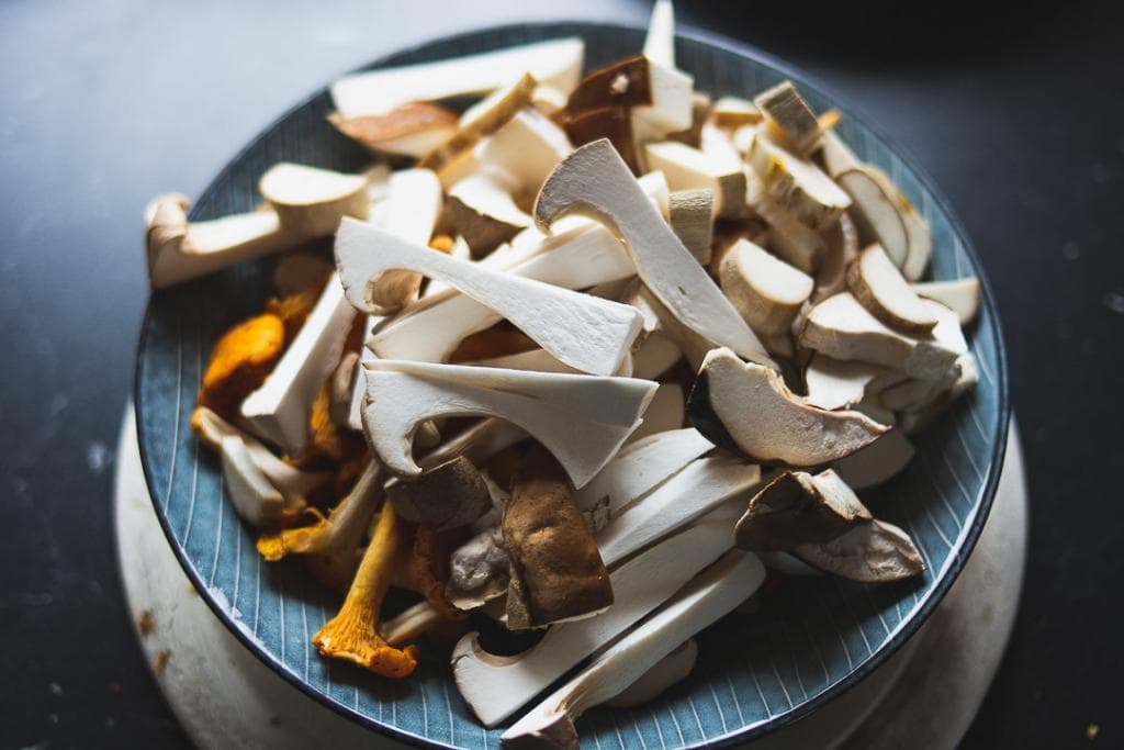 Die leckerste Pasta mit Waldpilzen in cremiger Sahnesauce