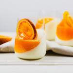 joghurt panna cotta mit himbeeren