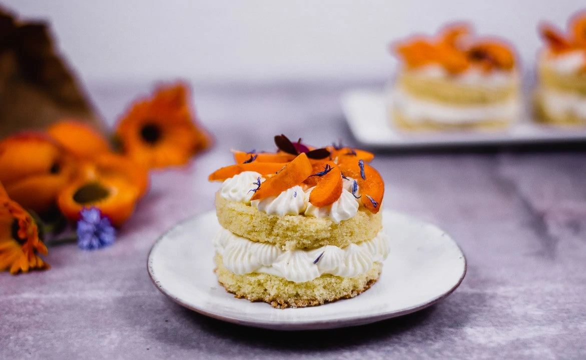 Kleiner Aprikosenkuchen, dekoriert mit Aprikosenscheiben und Blütenblättern