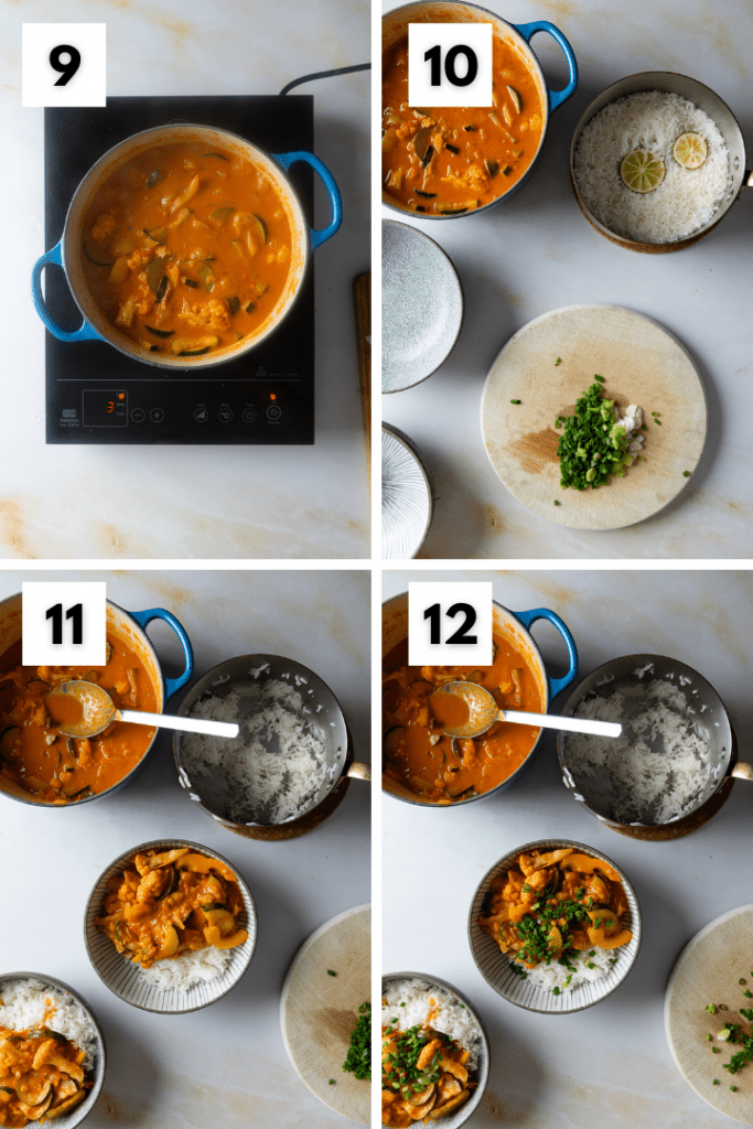 Das Essen wird angerichtet. Curry, Reis und Frühlingszwiebeln drüber.