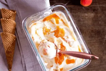 Italienisches Joghurteis mit Aprikose – cremiges Gelato Rezept Italienisches Aprikosen Joghurteis