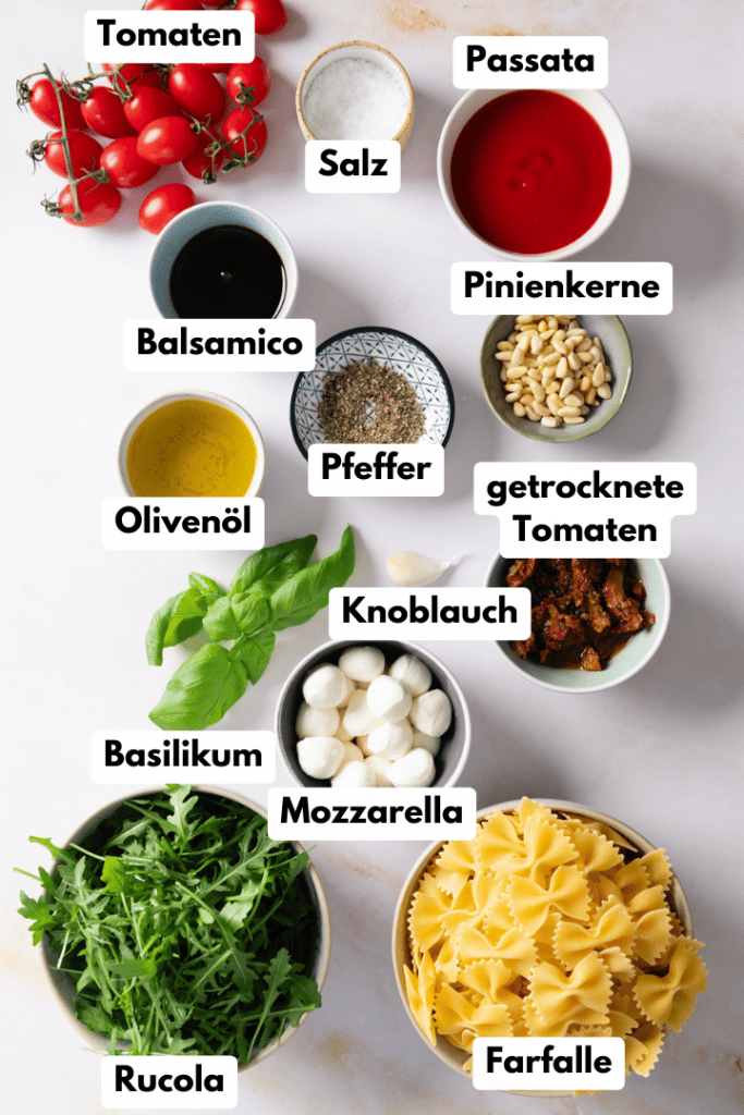 Alle Zutaten für das italienische Nudelsalat Rezept.