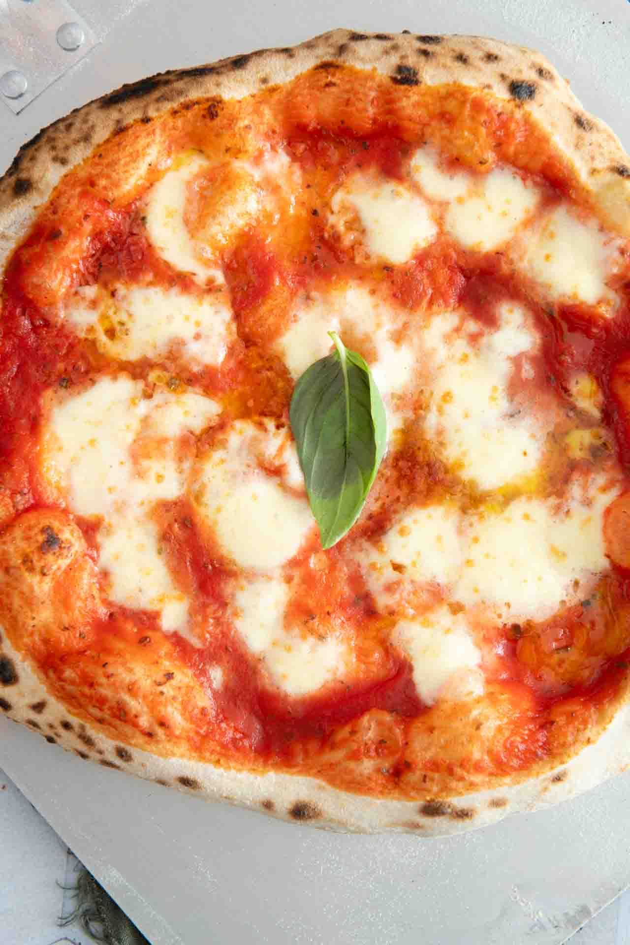 Neapolitanischer Pizzateig Original Neapolitanischer Pizzateig Original