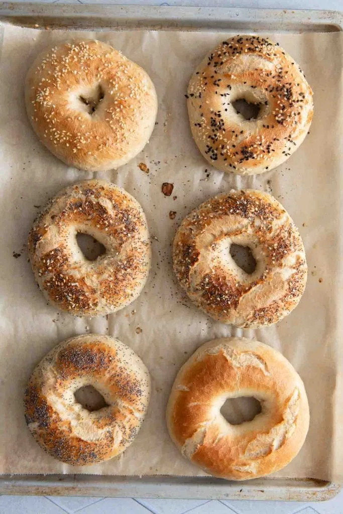 Sechs Bagels auf einem Blech.