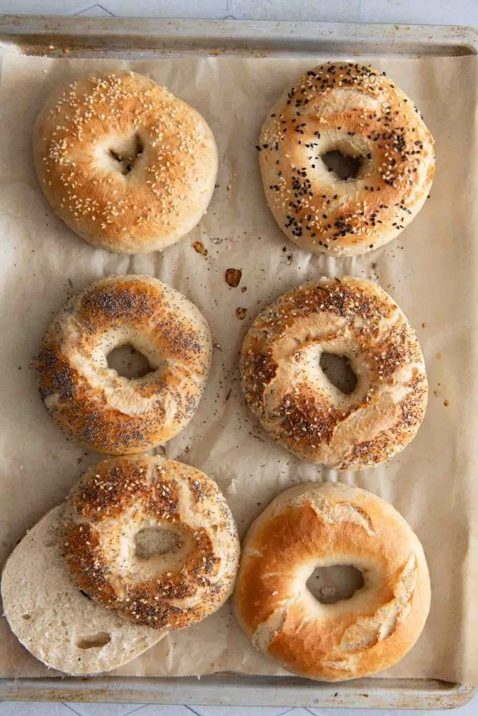 Bagels auf einem Backblech nach einem New Yorker Rezept.