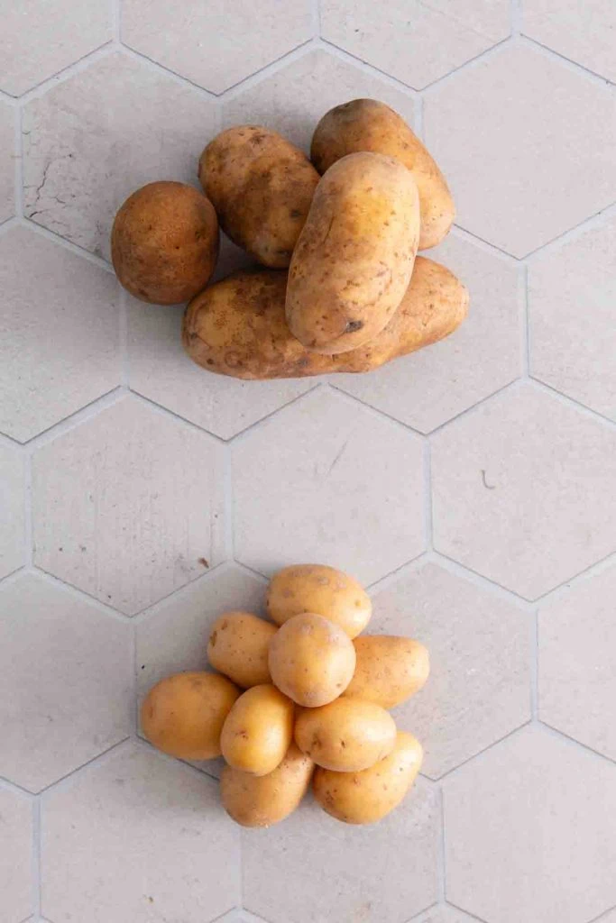 Zwei Arten von Kartoffeln