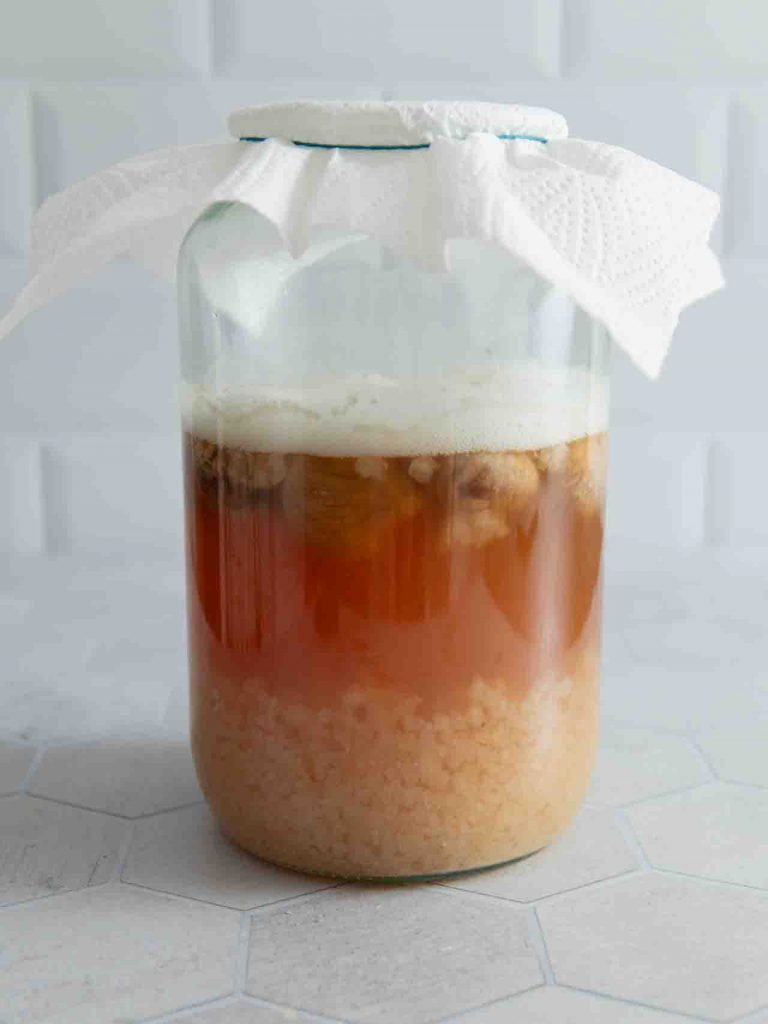 Der Wasserkefir wird angesetzt.